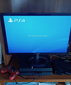 PLAYSTATION 4 500gb consolle
