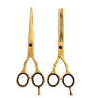 Jaguar Forbici parrucchieri 