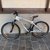 Bicicletta Specialized