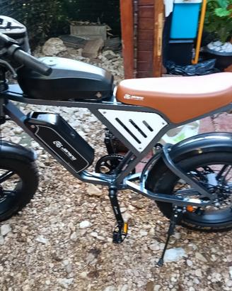 Bici elettrica 