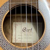 chitarra classica 🎸🎸