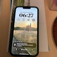 Iphone 13 pro max 256 GB PERFETTO Grado A/A+