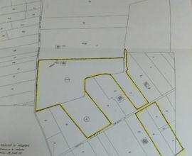 Terreno edificabile