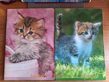 Set 2 quaderni A4 con gattini