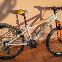 MTB BAMBINO TORPADO VIPER 24