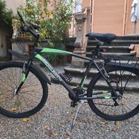 Bicicletta Mountain Bike Sergio Bianchi ruote 26