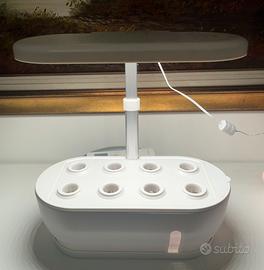 Serra Coltura idroponica da interno