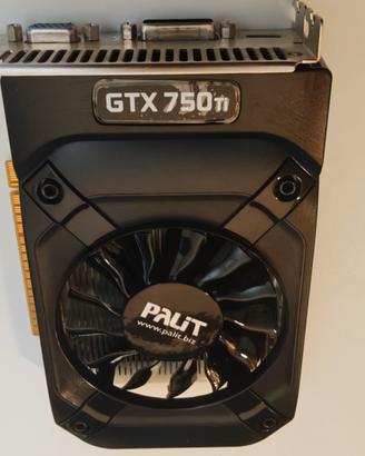 scheda video Palit GeForce  GTX 750  2GB gddr5
