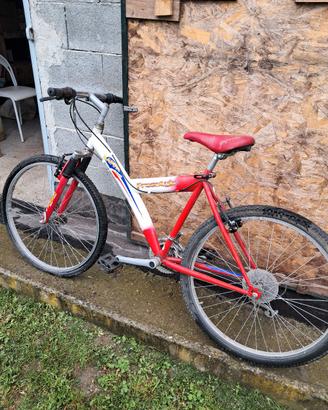 biciclette