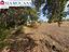 Immagine 7