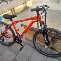 Mountain bike