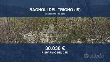 Immobile in asta di 52795 m² a Bagnoli del Trigno