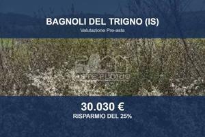 Immobile in asta di 52795 m² a Bagnoli del Trigno