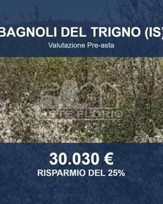 Immobile in asta di 52795 m² a Bagnoli del Trigno
