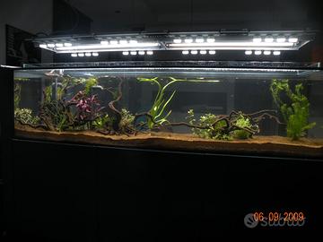 ACQUARIO IN CRISTALLO SUPERCHIARO