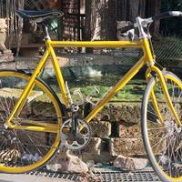 Bicicletta SIGLESPEED telaio ORIA Alluminio