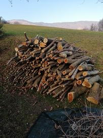 legna da ardere