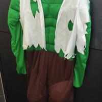 Vestito di Carnevale Hulk l uomo verde