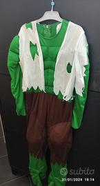 Vestito di Carnevale Hulk l uomo verde