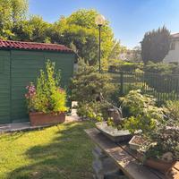 Bonsai, tre bancali di legno di larice
