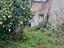 Immagine 10