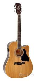 Chitarra acustica richwood