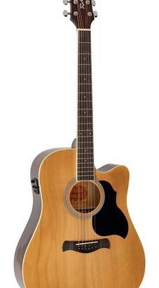 Chitarra acustica richwood