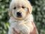 Immagine 16