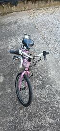 bicicletta 