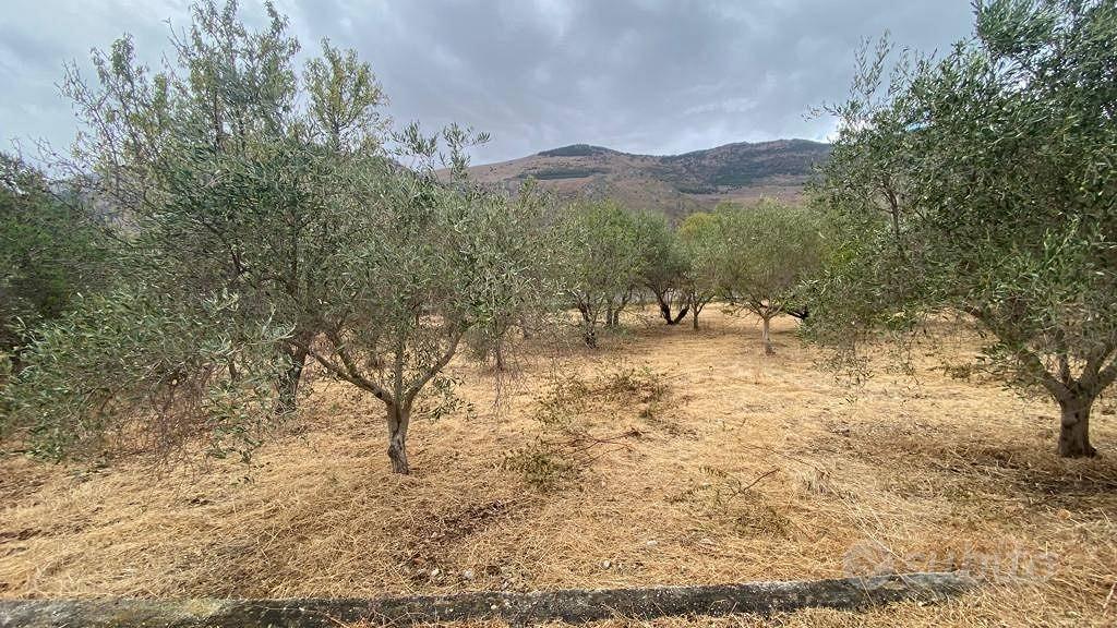 Terreno di 6500 m² a Carini - Vista 3