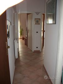 Appartamento 85mq via aurelia nord viareggio