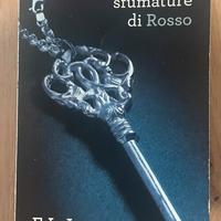Libro “Cinquanta sfumature di Rosso”