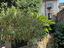 Immagine 29