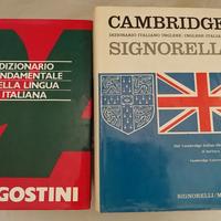 Dizionario Cambridge Signorelli + omaggio