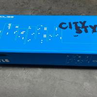 Piastra capelli professionale