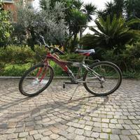 bici 24 mtb