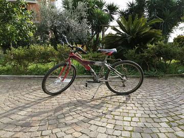 bici 24 mtb