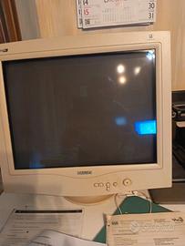 Monitor Philips da 17 pollici