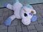 Immagine 1