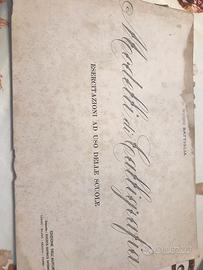 Manuale di calligrafia