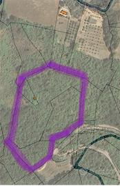 Terreno agricolo Ascoli Piceno