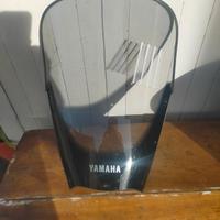 Cupolino YAMAHA TDM 900