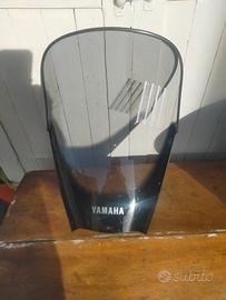 Cupolino YAMAHA TDM 900