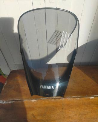 Cupolino YAMAHA TDM 900