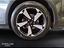 Immagine 7