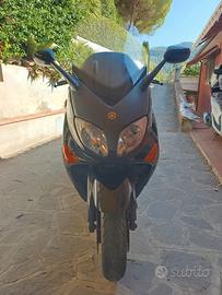 T MAX 2007