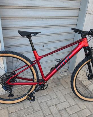MTB BMC Twostroke 01