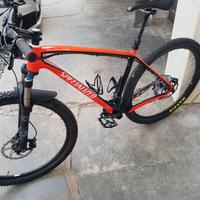 Mtb 29 specialized stumpjumper taglia L