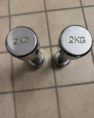 Coppia di manubri palestra 2 kg luno