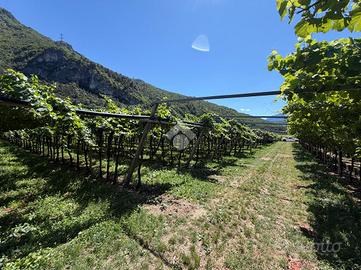 TERRENO A VOLANO